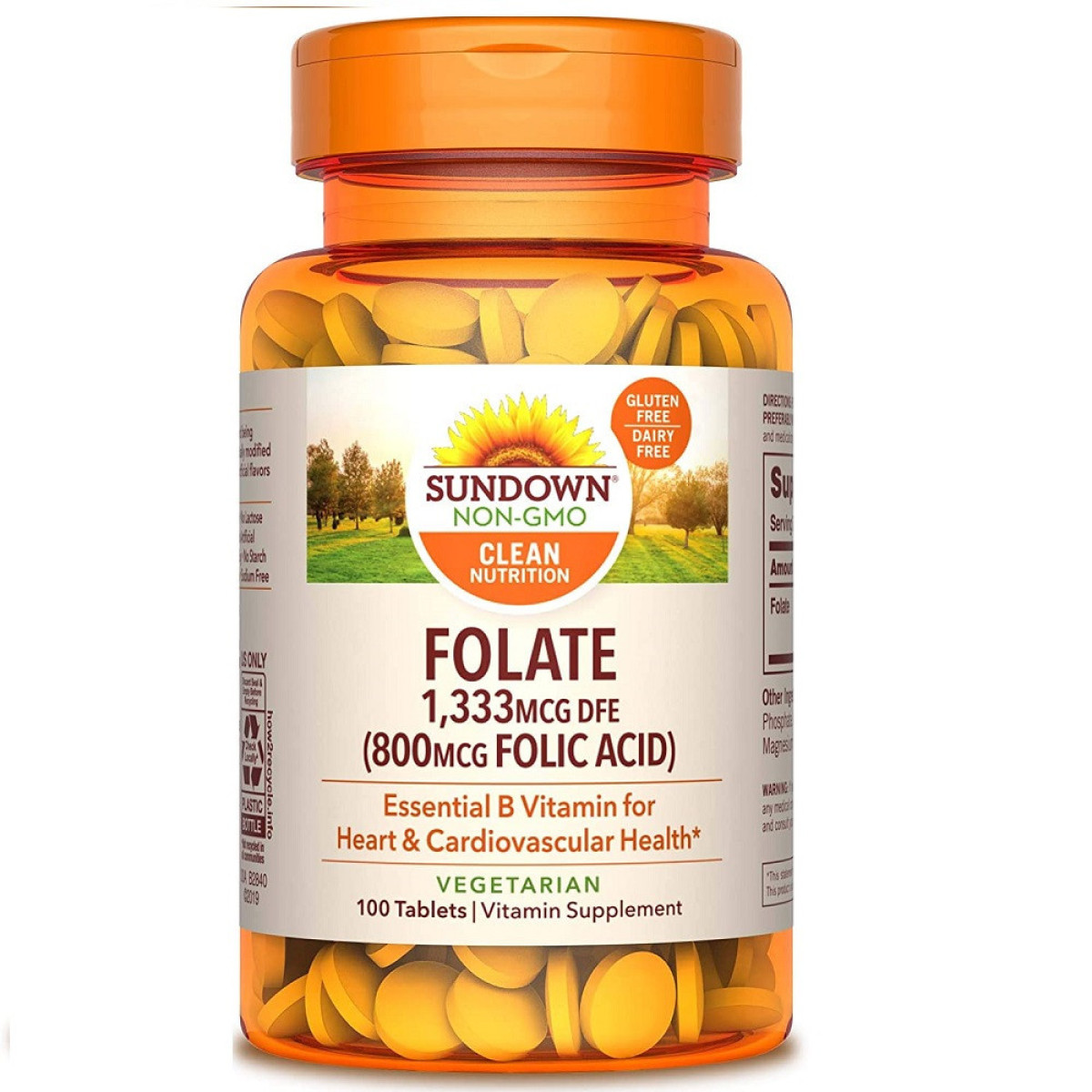 FOLIC ACID 800 MCG X 100 SUND