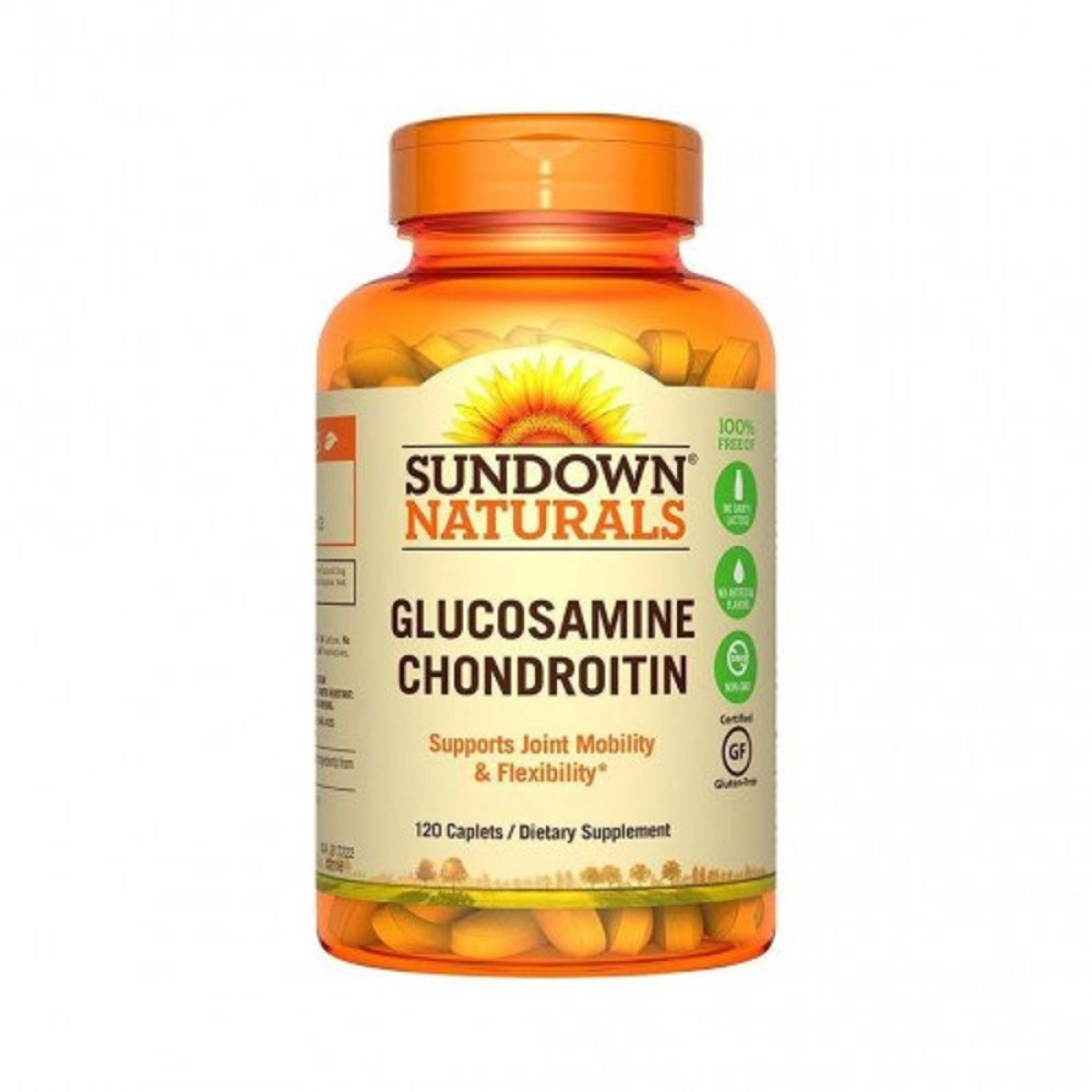 GLUCOSAMINE/CHONDROIT 120 COMP SUND